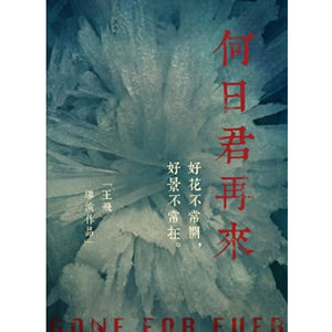 何日君再来--电影--中国--剧情--高清