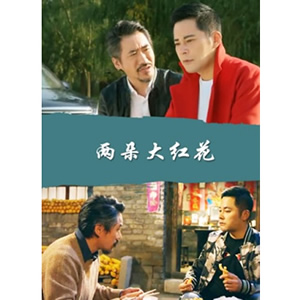 两朵大红花--电影--中国--剧情--高清