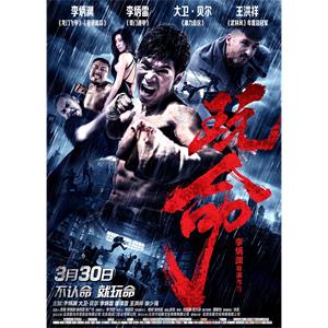玩命--电影--中国大陆--喜剧,动作--高清