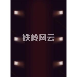 铁岭风云--电影--中国大陆--喜剧--高清