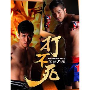 打不死--电影--2018-03-03大陆上映----高清