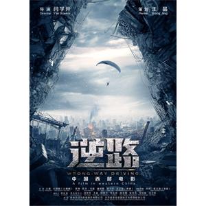逆路--电影--中国大陆--动作,犯罪--高清