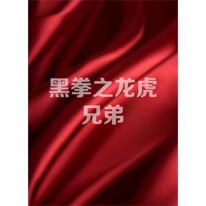 黑拳之龙虎兄弟--电影--中国大陆--剧情--高清