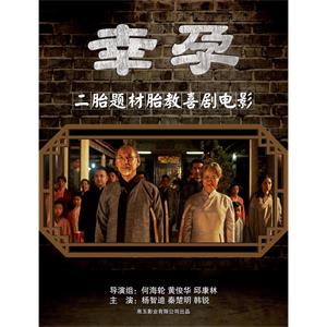 幸孕--电影--中国大陆--剧情,喜剧,家庭,犯罪--高清