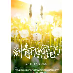 爱情开始的地方之遇见--电影--中国大陆--剧情,爱情--高清