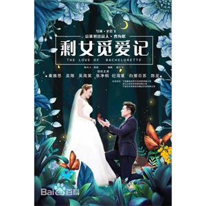 剩女觅爱记--电影--中国大陆--爱情--高清