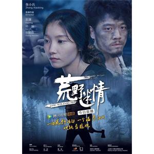 荒野迷情--电影--中国大陆--剧情,爱情,悬疑,惊悚--高清