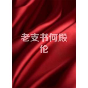 老支书何殿伦--电影--中国大陆--剧情--高清