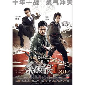 杀破狼2--电影--中国香港,中国大陆--动作,犯罪,剧情--高清