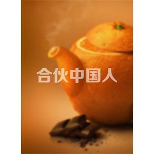 合伙中国人--电影--中国大陆--纪录片--高清
