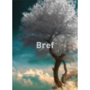 Bref--电影--西班牙,希腊--记录片,短片,剧情--高清