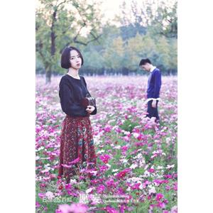 愿妄--电影--2014-12-16大陆上映----高清