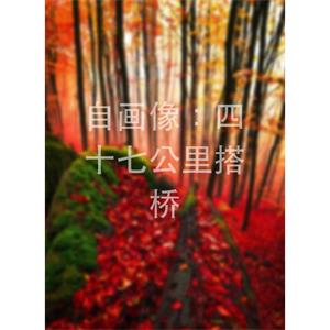 自画像：四十七公里搭桥--电影--2014大陆上映----高清