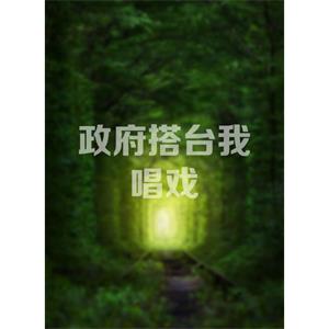 政府搭台我唱戏--电影--2014大陆上映----高清