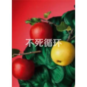 不死循环--电影--2014大陆上映----高清