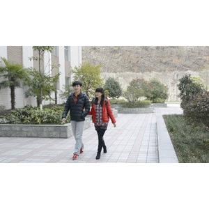 病毒--电影--中国大陆--爱情,悬疑--高清