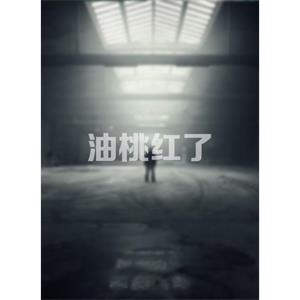 油桃红了--电影--中国大陆--剧情--高清