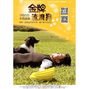 金牌流浪狗--电影--中国大陆--喜剧,运动--高清