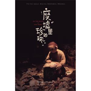 废墟里的珍珠--电影--中国大陆--动画,短片--高清