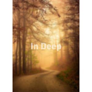 In Deep--电影--2012大陆上映----高清