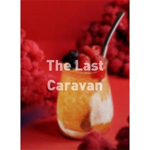 The Last Caravan--电影--2011大陆上映----高清