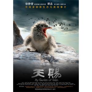 天赐--电影--中国大陆--纪录片--高清