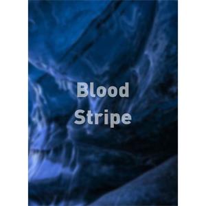 Blood Stripe--电影--2011大陆上映----高清
