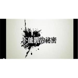 不能戳的秘密--电影--中国台湾--纪录片--高清