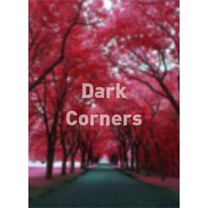 Dark Corners--电影--2011大陆上映----高清