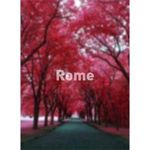 Rome--电影--2011大陆上映----高清