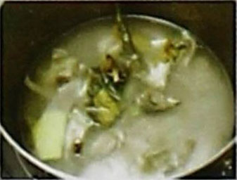 蛤蚧鹌鹑汤的做法