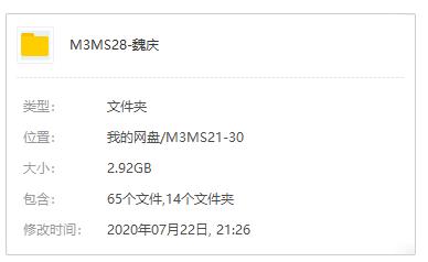 《魏庆企业营销》讲座合集百度云网盘下载（14门课程）[RM/WMV/2.92GB]