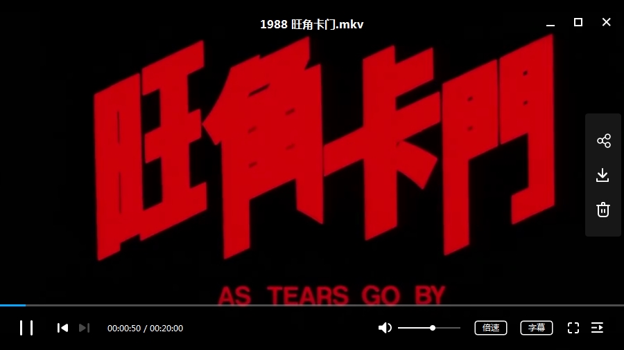 王家卫导演作品电影10部(1988-2013)[MKV/17.26GB]高清合集百度云网盘下载