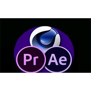AE+PR学习教程视频+素材合集打包《AE速成教学》+《PR速成教学》[MP4/8.95GB]百度云网盘下载