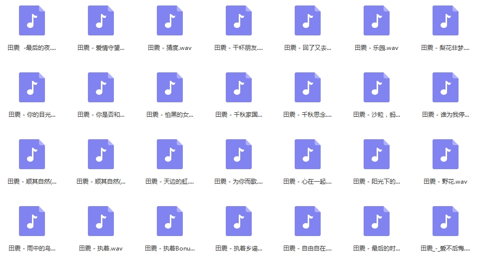 田震无损歌曲精选28首[WAV/1.22GB]百度云网盘下载