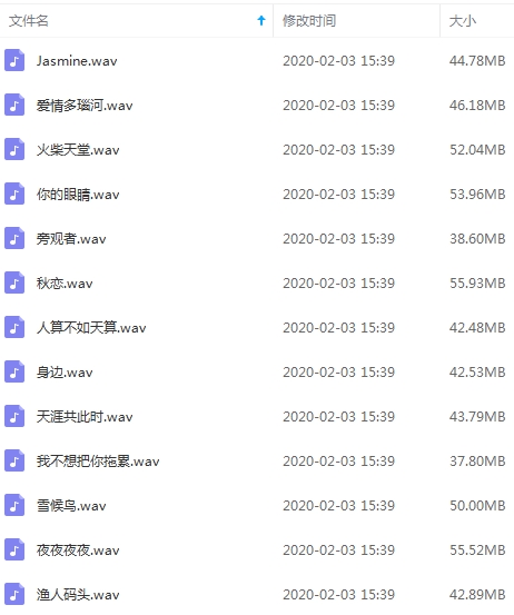熊天平无损歌曲精选13首[WAV/606.48MB]百度云网盘下载