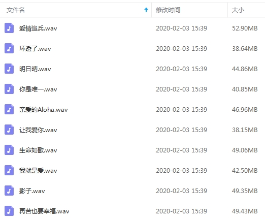辛龙无损歌曲精选10首[WAV/452.70MB]百度云网盘下载