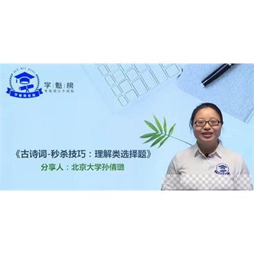孙倩璐-学魁榜2020语文最新秒杀技巧课视频[MP4/1.48GB]百度云网盘下载