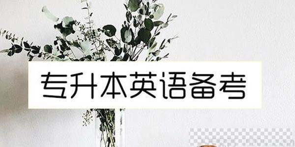 大学专升本英语05至18年真题含听力答案解析视频[MP4/19.34MB]百度云网盘下载