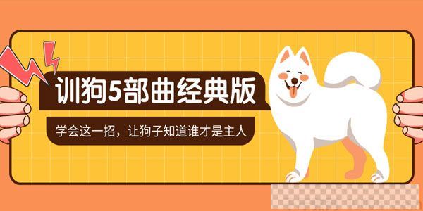 唐伟敏-军犬训练教官《训狗5部曲》10天改掉狗狗的坏习惯视频[MP4/11.12GB]百度云网盘下载