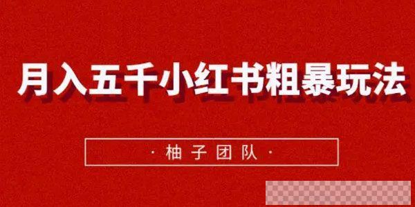 柚子-月入五千小红书粗暴玩法适合上班族的副业视频[MP4/60.83MB]百度云网盘下载