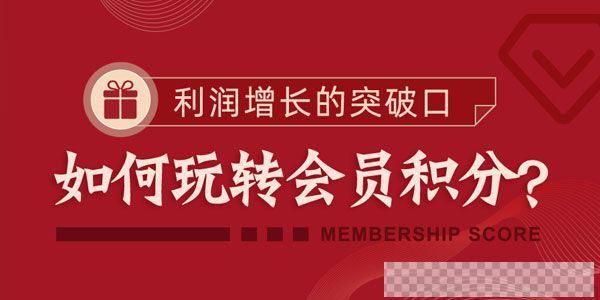 勺子课堂-梁丽《如何玩转会员积分》利润增长突破口视频[MP4/391.32MB]百度云网盘下载