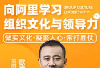 《向阿里学习组织文化与领导力》视频MP4百度云网盘下载