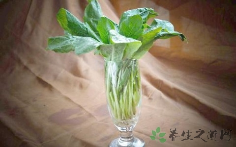 秋季吃板蓝根的禁忌