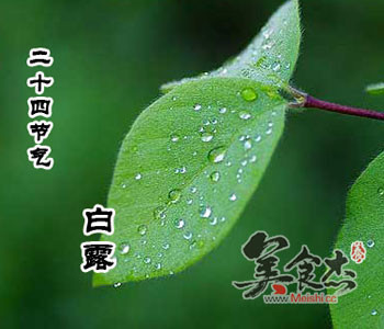 白露由来与习俗IH.jpg