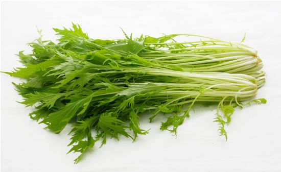京水菜