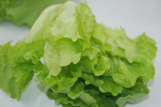 生菜