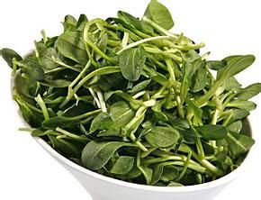 鸡毛菜