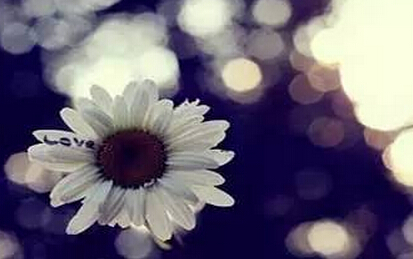 对亲近的人太苛刻,对不相干的人太谦卑
