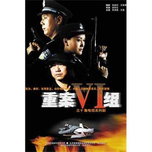 重案六组(2001)